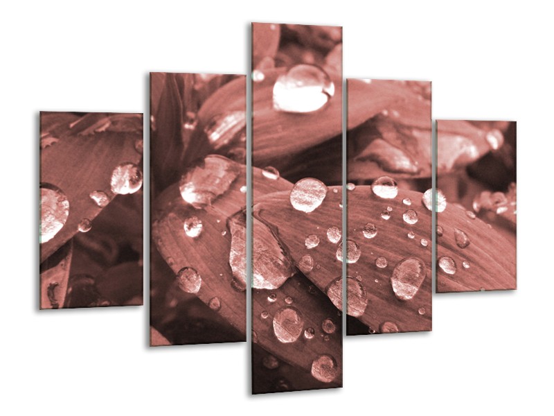 Glasschilderij Bloem, Druppel | Rood, Bruin | 100x70cm 5Luik