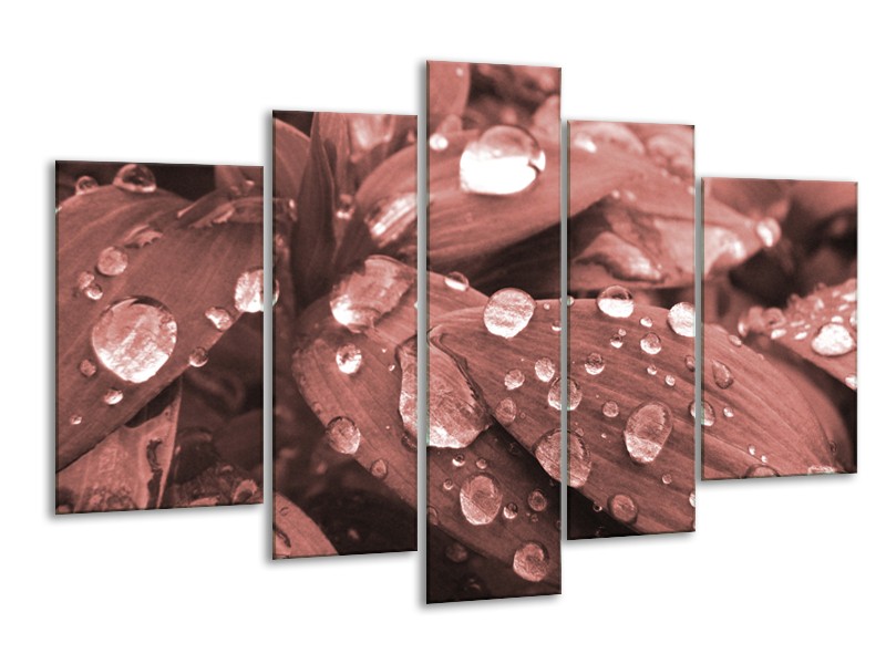 Glasschilderij Bloem, Druppel | Rood, Bruin | 170x100cm 5Luik