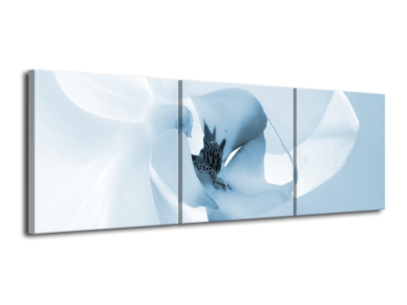 Canvas Schilderij Bloem | Blauw, Wit | 120x40cm 3Luik