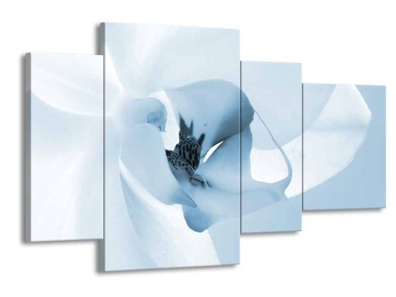 Canvas Schilderij Bloem | Blauw, Wit | 120x75cm 4Luik