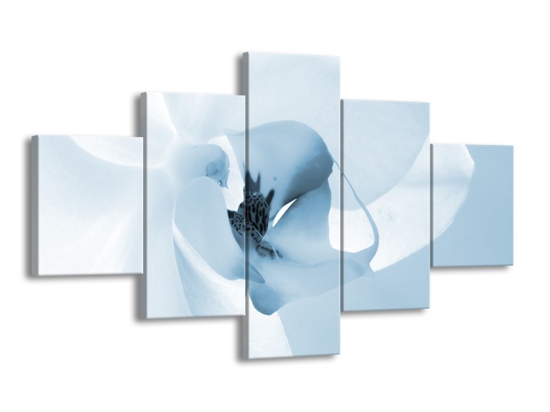 Glasschilderij Bloem | Blauw, Wit | 125x70cm 5Luik