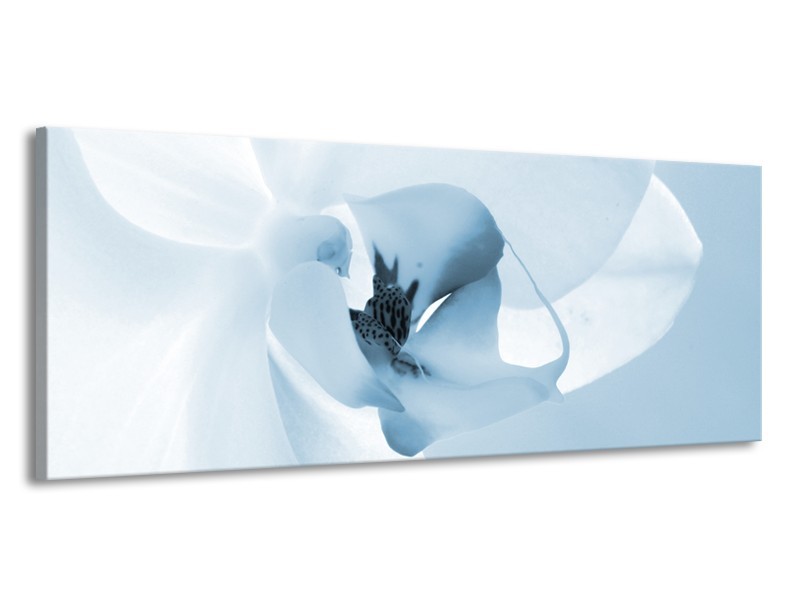 Glasschilderij Bloem | Blauw, Wit | 145x58cm 1Luik