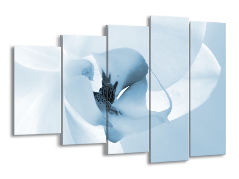 Canvas Schilderij Bloem | Blauw, Wit | 150x100cm 5Luik