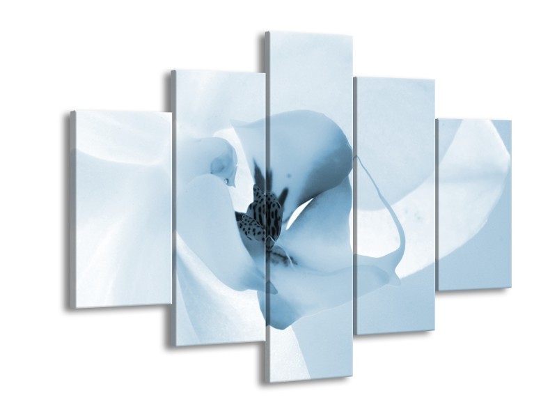 Canvas Schilderij Bloem | Blauw, Wit | 150x105cm 5Luik