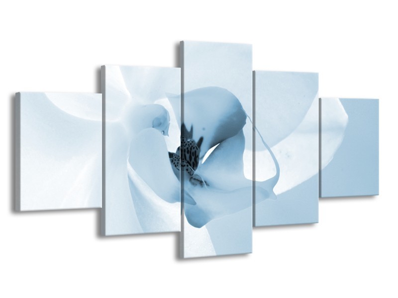 Canvas Schilderij Bloem | Blauw, Wit | 150x80cm 5Luik