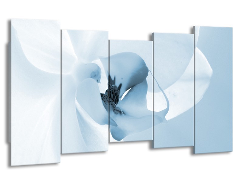 Glasschilderij Bloem | Blauw, Wit | 150x80cm 5Luik