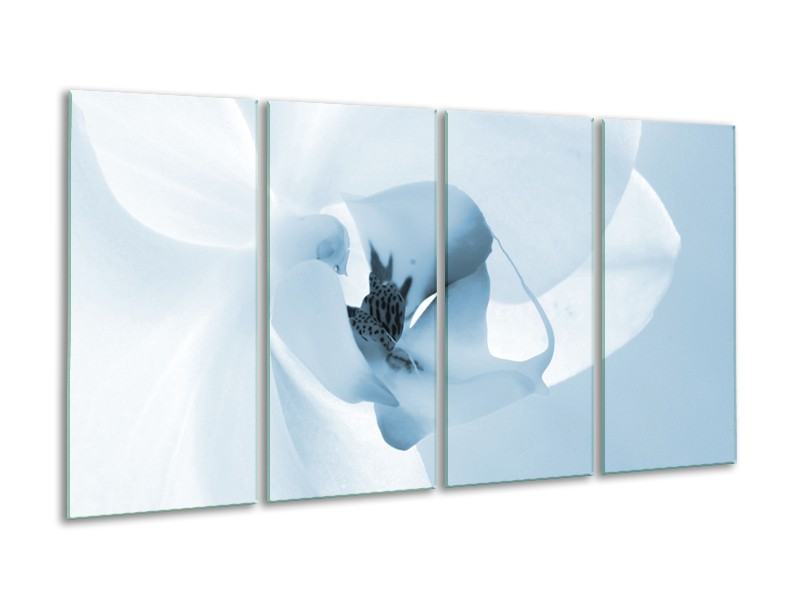 Canvas Schilderij Bloem | Blauw, Wit | 160x80cm 4Luik