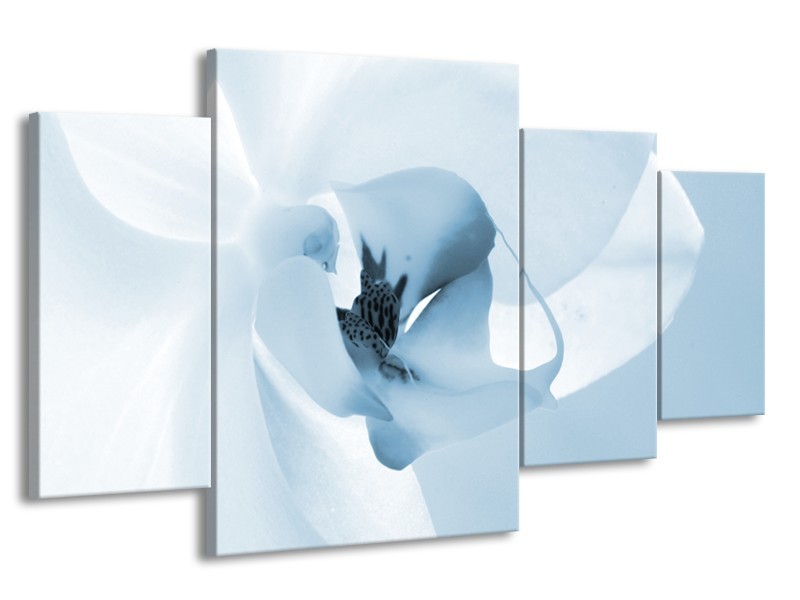 Canvas Schilderij Bloem | Blauw, Wit | 160x90cm 4Luik