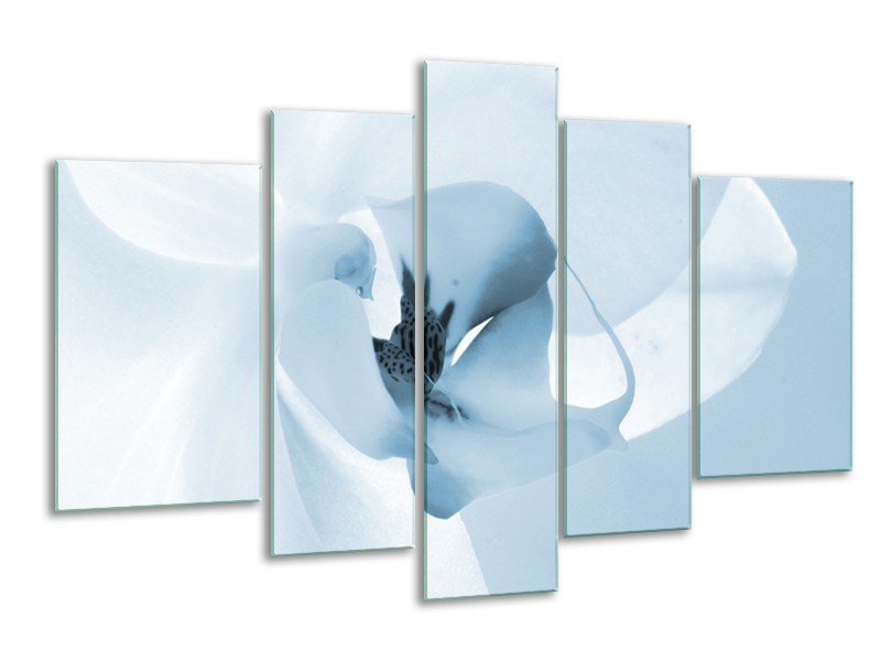 Glasschilderij Bloem | Blauw, Wit | 170x100cm 5Luik