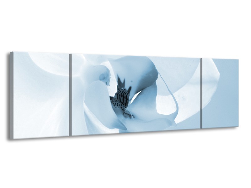 Canvas Schilderij Bloem | Blauw, Wit | 170x50cm 3Luik