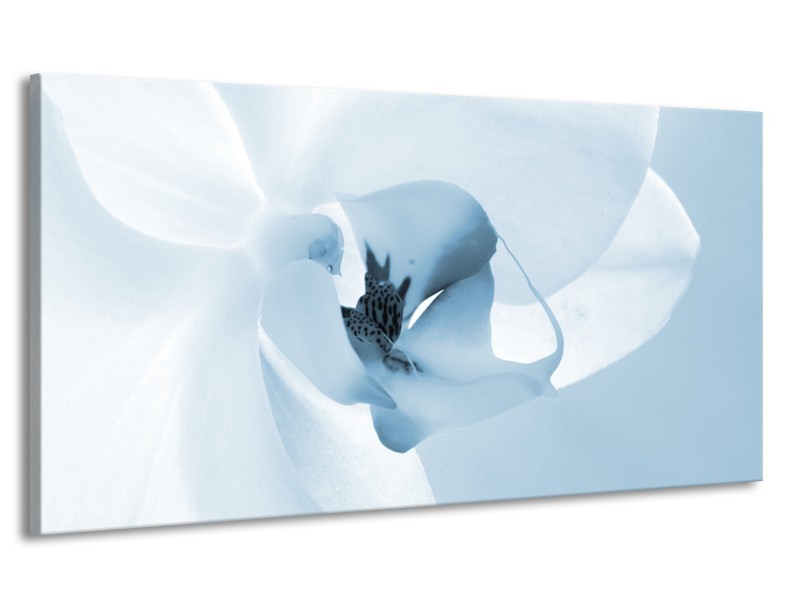 Canvas Schilderij Bloem | Blauw, Wit | 170x90cm 1Luik