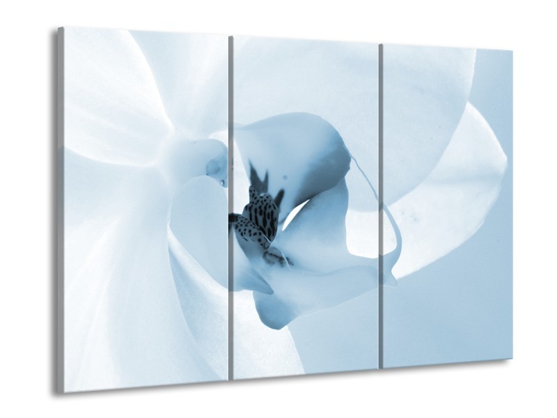 Canvas Schilderij Bloem | Blauw, Wit | 60x90cm 3Luik