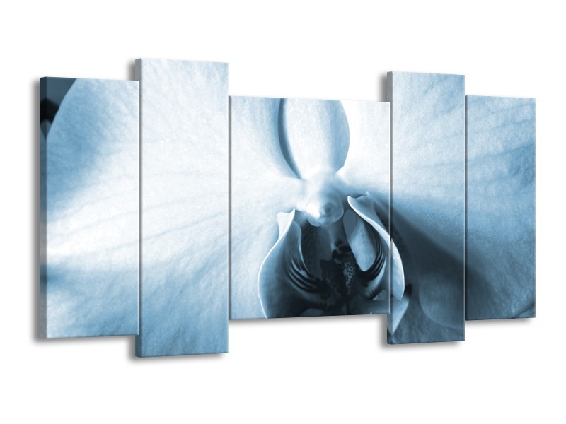 Canvas Schilderij Bloem | Blauw, Wit | 120x65cm 5Luik