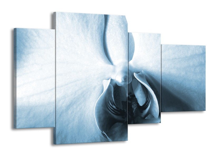 Canvas Schilderij Bloem | Blauw, Wit | 120x75cm 4Luik