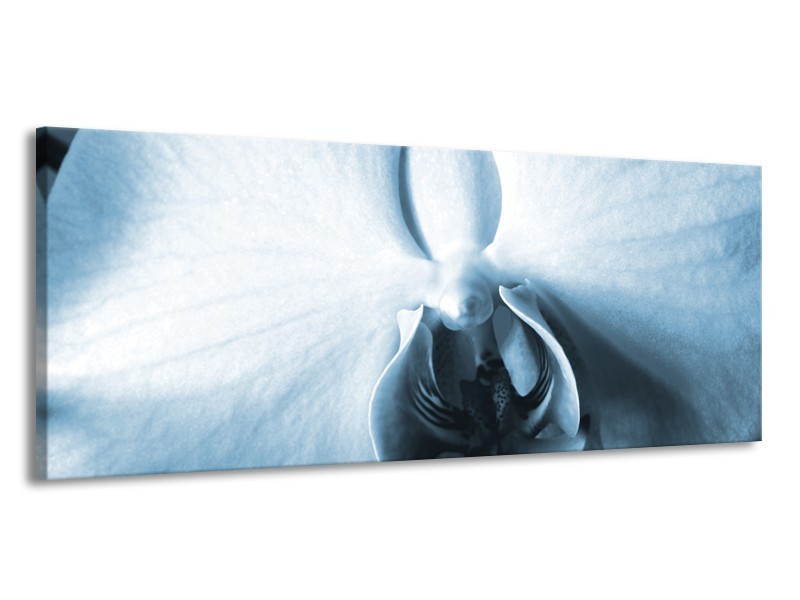 Glasschilderij Bloem | Blauw, Wit | 145x58cm 1Luik