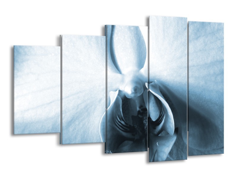 Canvas Schilderij Bloem | Blauw, Wit | 150x100cm 5Luik