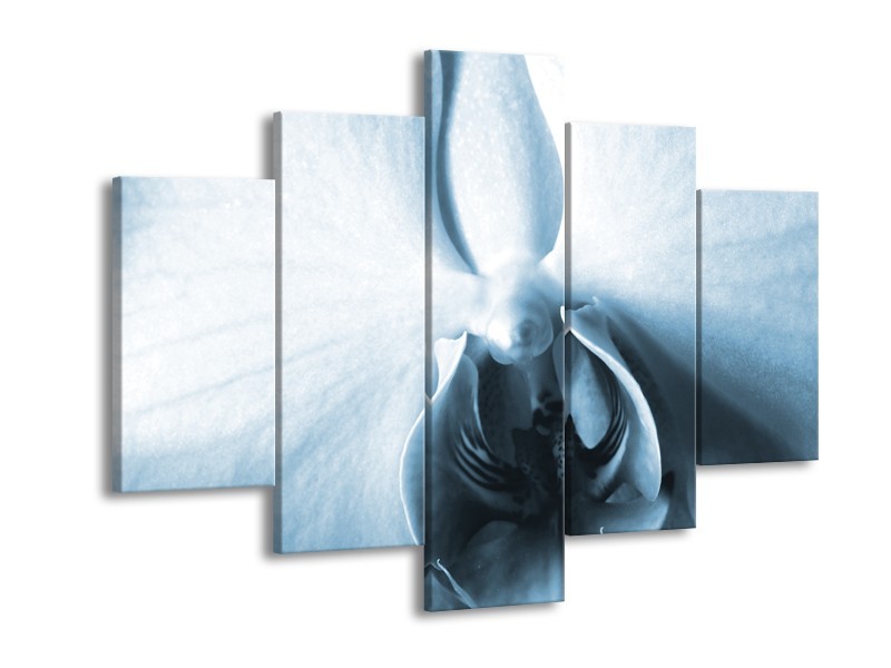 Canvas Schilderij Bloem | Blauw, Wit | 150x105cm 5Luik