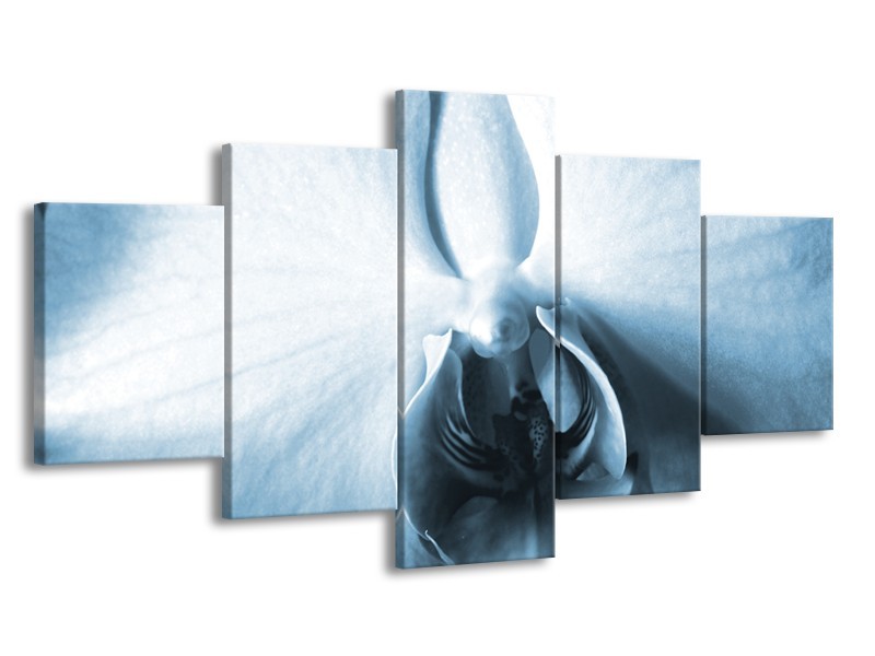 Glasschilderij Bloem | Blauw, Wit | 150x80cm 5Luik