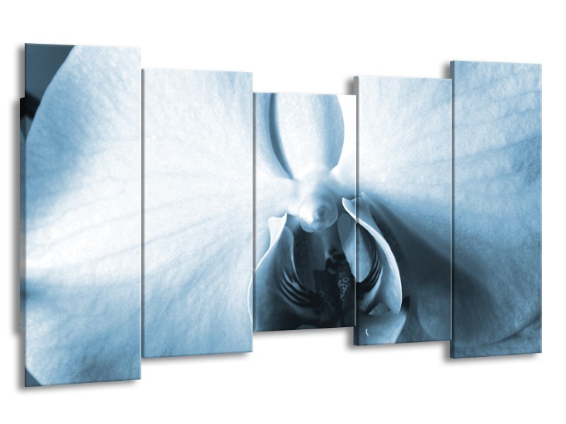 Glasschilderij Bloem | Blauw, Wit | 150x80cm 5Luik