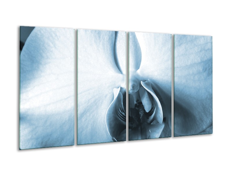 Canvas Schilderij Bloem | Blauw, Wit | 160x80cm 4Luik