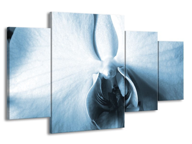 Canvas Schilderij Bloem | Blauw, Wit | 160x90cm 4Luik