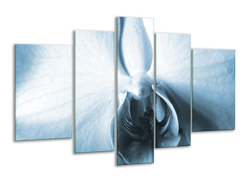 Canvas Schilderij Bloem | Blauw, Wit | 170x100cm 5Luik