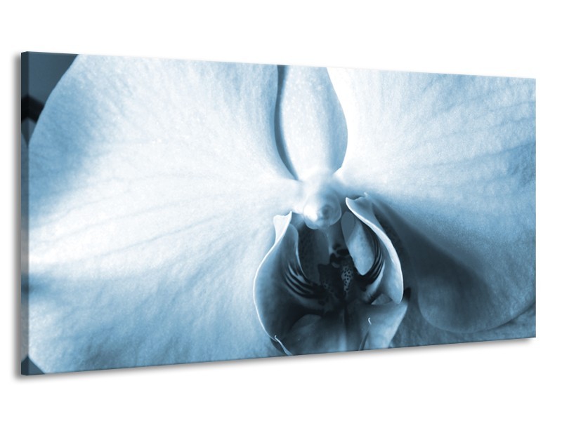 Canvas Schilderij Bloem | Blauw, Wit | 170x90cm 1Luik