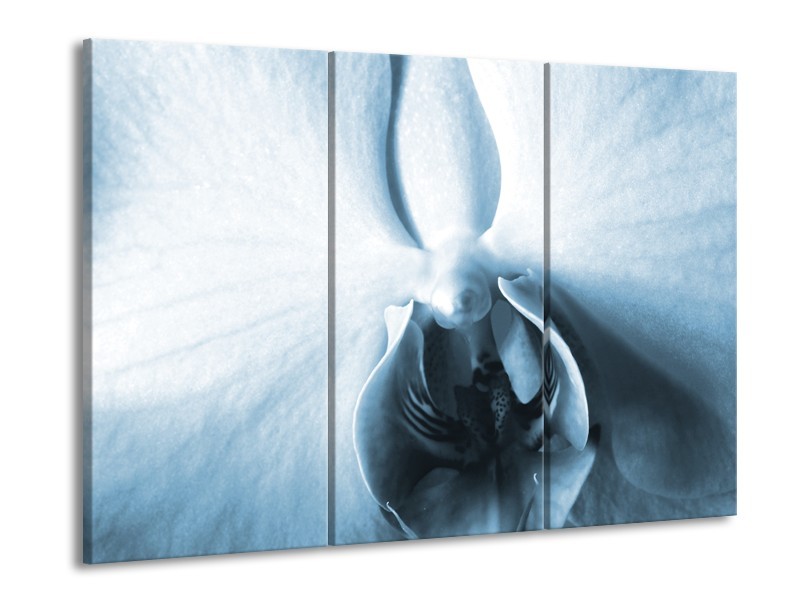 Canvas Schilderij Bloem | Blauw, Wit | 60x90cm 3Luik