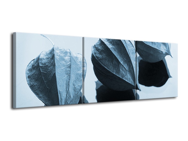 Canvas Schilderij Bloem | Blauw, Wit | 120x40cm 3Luik