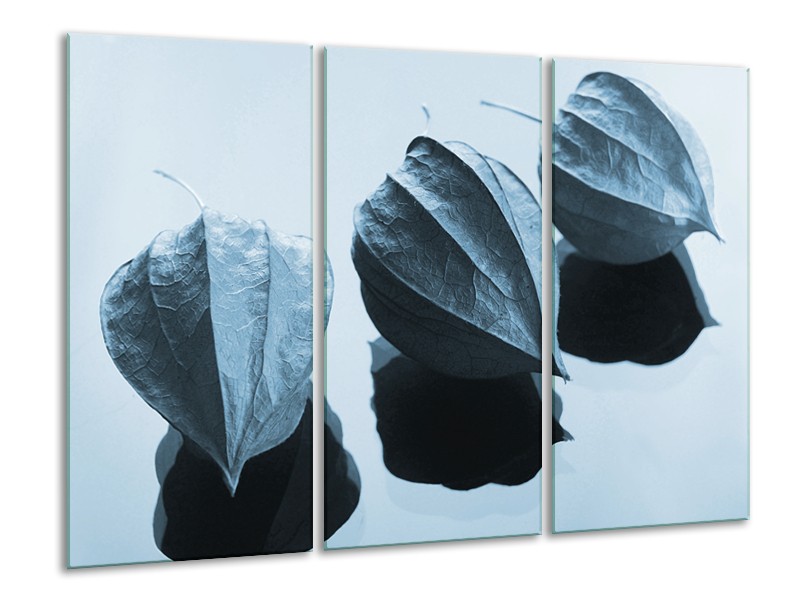 Canvas Schilderij Bloem | Blauw, Wit | 120x80cm 3Luik