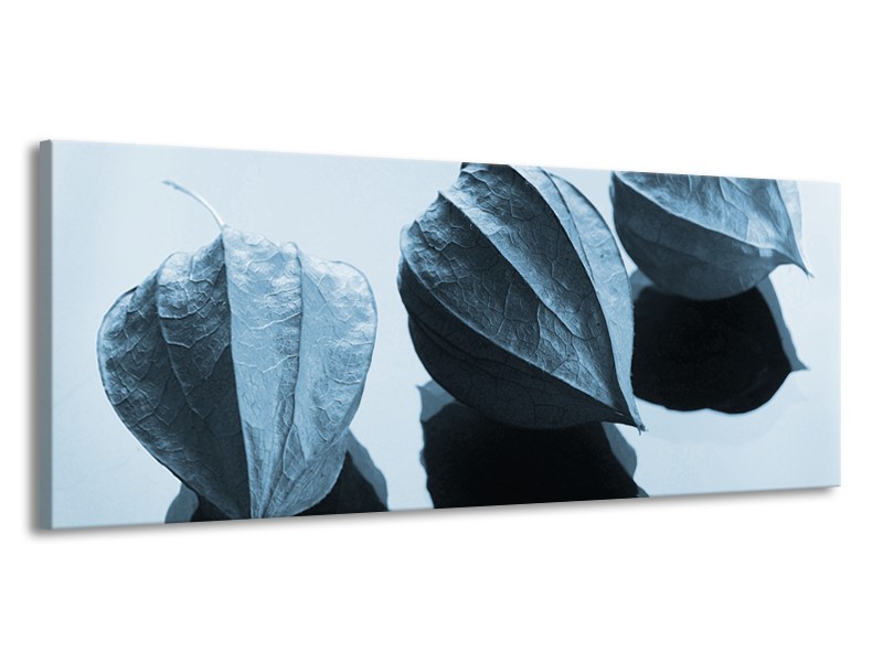 Glasschilderij Bloem | Blauw, Wit | 145x58cm 1Luik