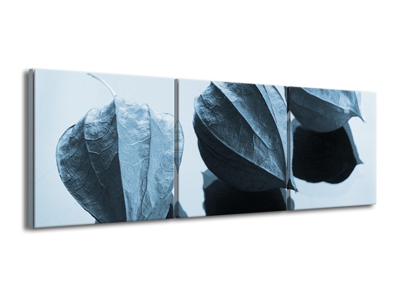 Canvas Schilderij Bloem | Blauw, Wit | 150x50cm 3Luik