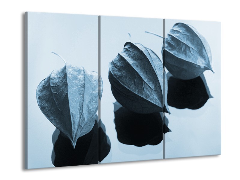 Glasschilderij Bloem | Blauw, Wit | 60x90cm 3Luik