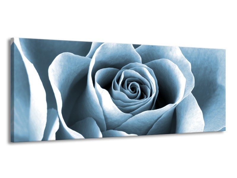 Canvas Schilderij Roos, Bloem | Blauw, Grijs | 145x58cm 1Luik