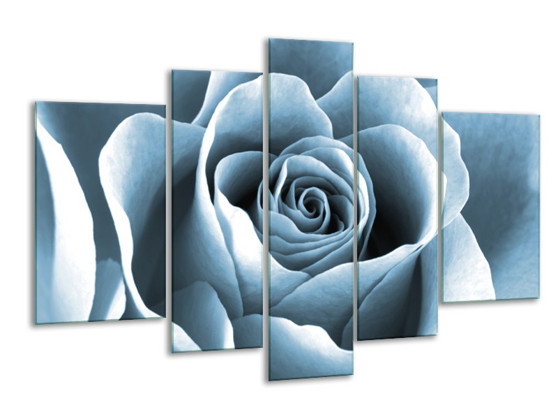 Glasschilderij Roos, Bloem | Blauw, Grijs | 170x100cm 5Luik