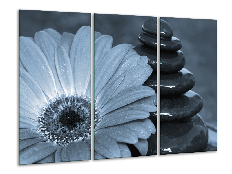 Canvas Schilderij Bloem, Stenen | Blauw, Grijs | 120x80cm 3Luik