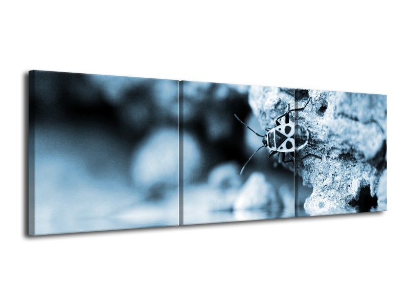 Canvas Schilderij Insect | Blauw, Grijs | 120x40cm 3Luik