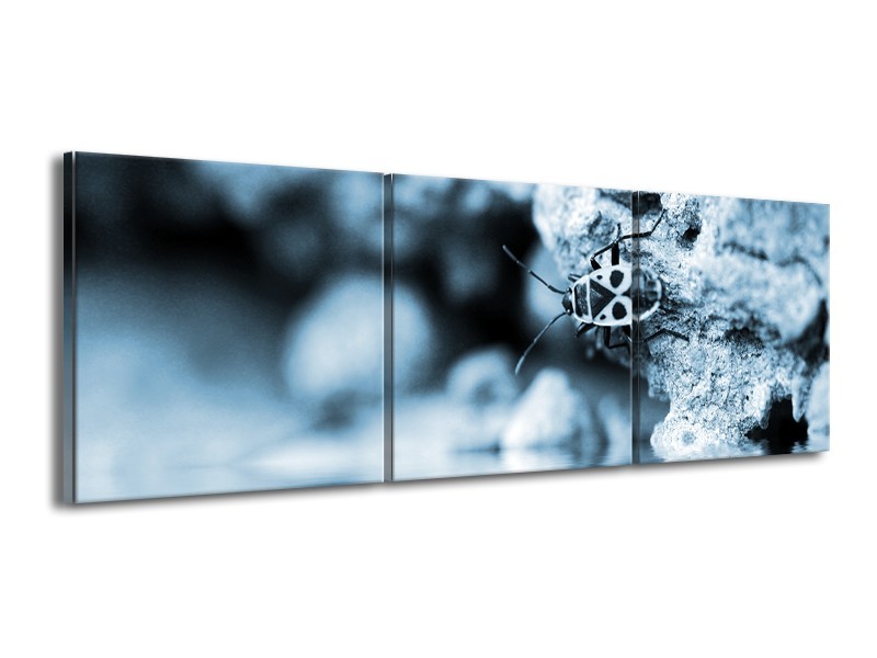 Canvas Schilderij Insect | Blauw, Grijs | 150x50cm 3Luik