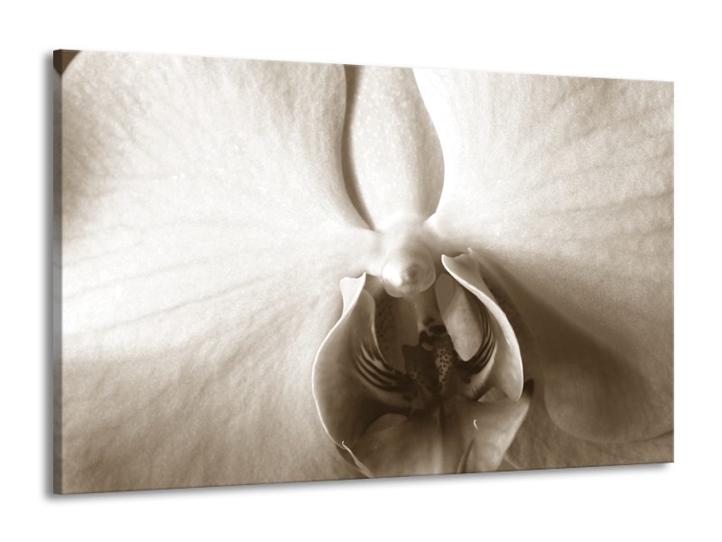 Glasschilderij Bloem | Sepia | 140x90cm 1Luik