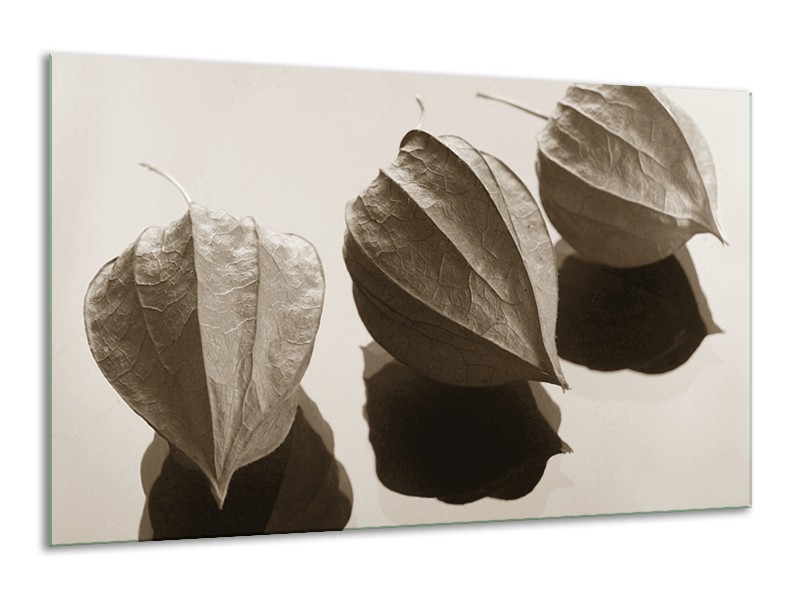 Canvas Schilderij Bloem | Sepia | 120x70cm 1Luik