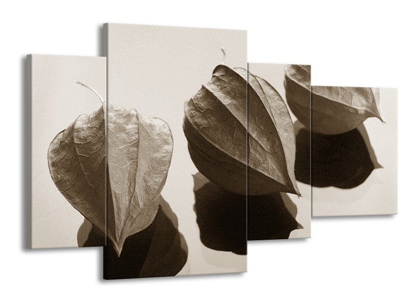 Glasschilderij Bloem | Sepia | 120x75cm 4Luik