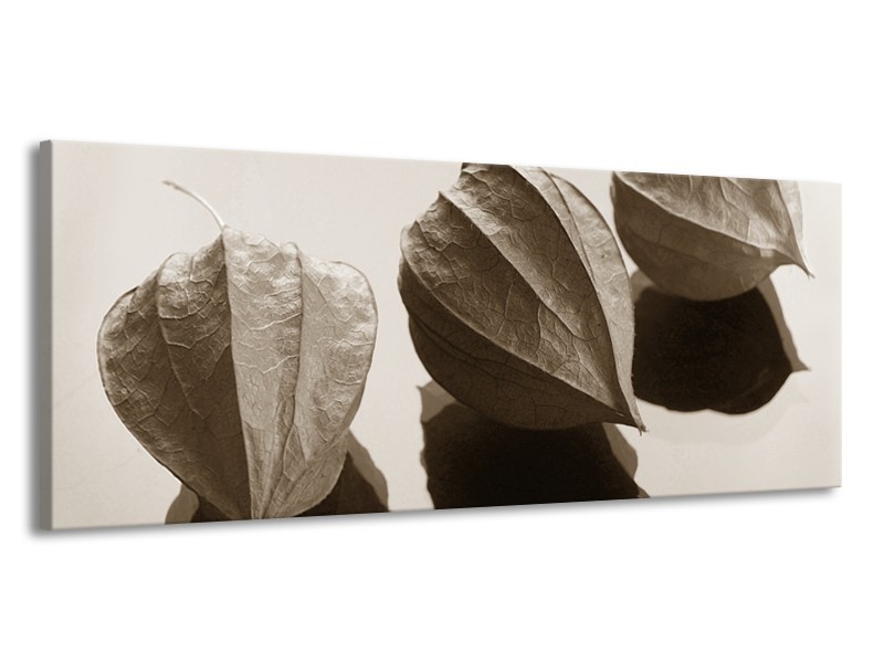 Canvas Schilderij Bloem | Sepia | 145x58cm 1Luik