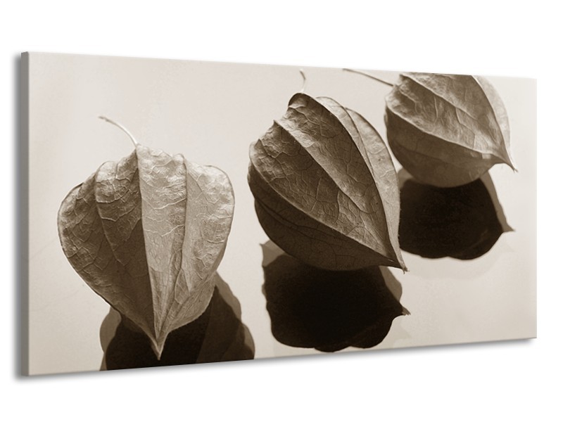 Canvas Schilderij Bloem | Sepia | 170x90cm 1Luik