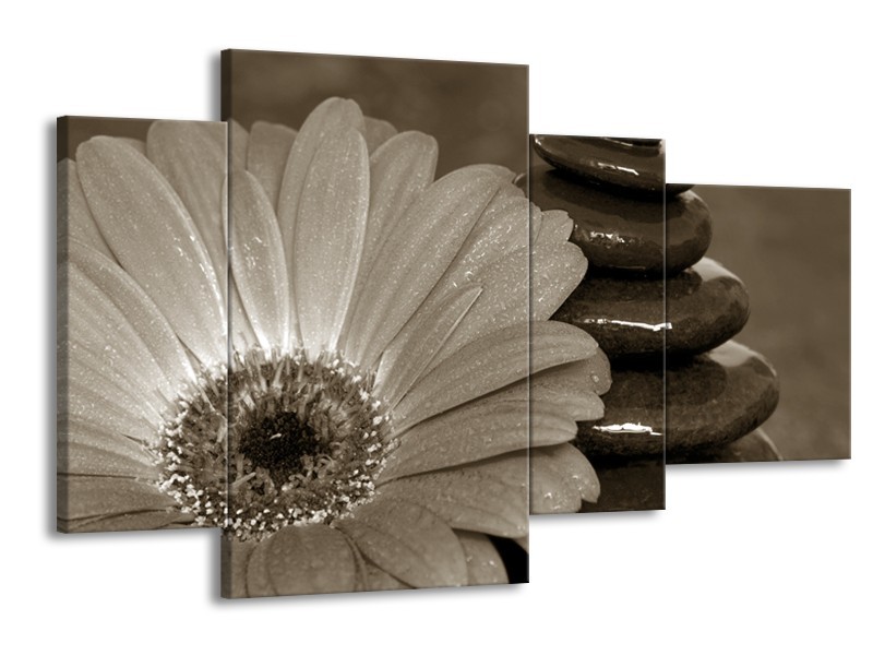 Glasschilderij Bloem, Stenen | Sepia | 120x75cm 4Luik