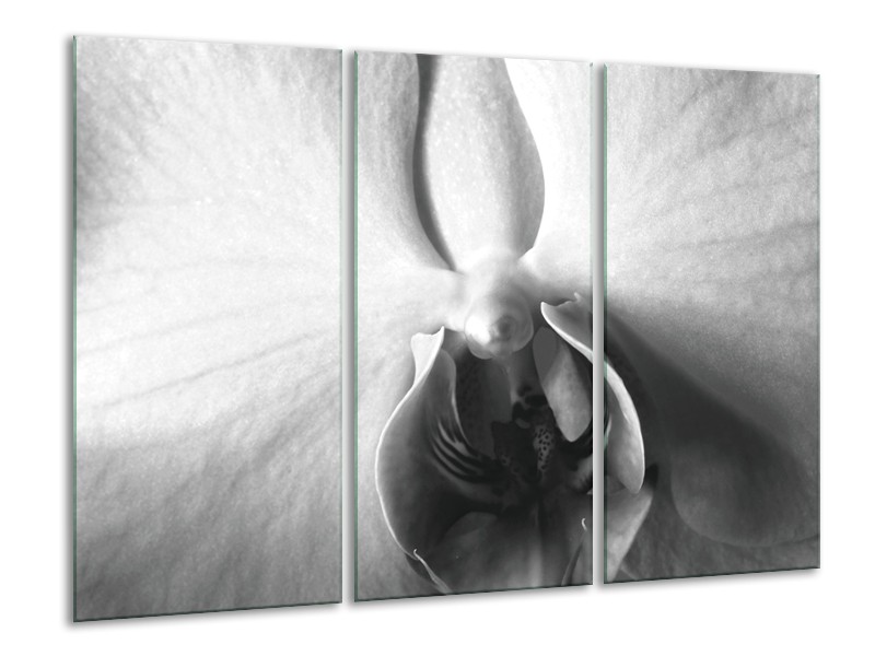 Canvas Schilderij Bloem | Grijs, Zwart, Wit | 120x80cm 3Luik