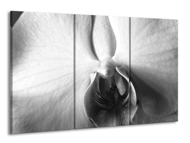 Canvas Schilderij Bloem | Grijs, Zwart, Wit | 165x100cm 3Luik