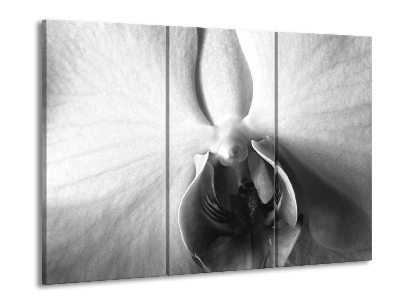 Canvas Schilderij Bloem | Grijs, Zwart, Wit | 60x90cm 3Luik