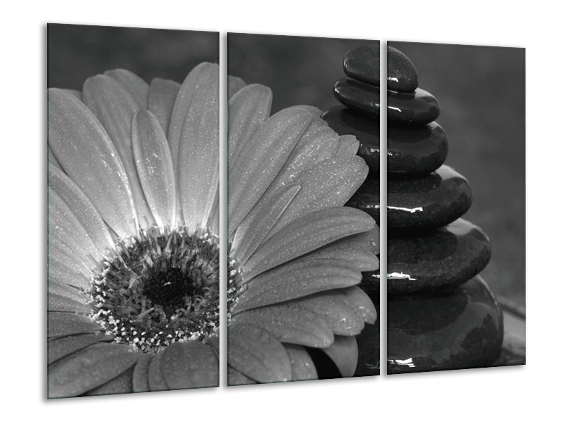 Canvas Schilderij Bloem, Stenen | Grijs, Zwart | 120x80cm 3Luik