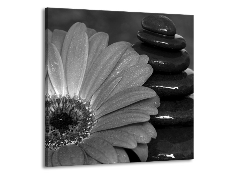 Canvas Schilderij Bloem, Stenen | Grijs, Zwart | 70x70cm 1Luik