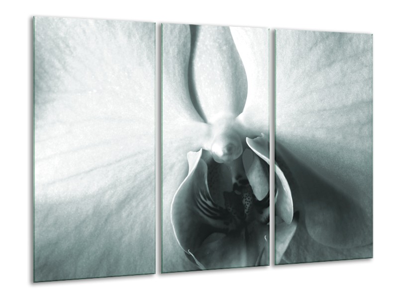 Canvas Schilderij Bloem | Grijs, Wit, Groen | 120x80cm 3Luik